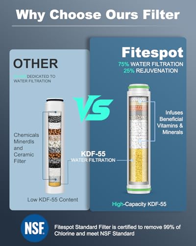 Filtered Shower Head with Handheld