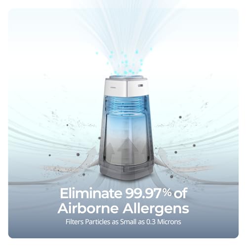 HEPA Air Purifier for Home