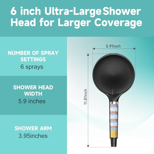 6“ Filtered Shower Head with Handheld