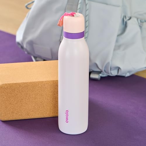 FreeSip Twist Stainless Steel Water Bottle 18 oz Dreamy Field
