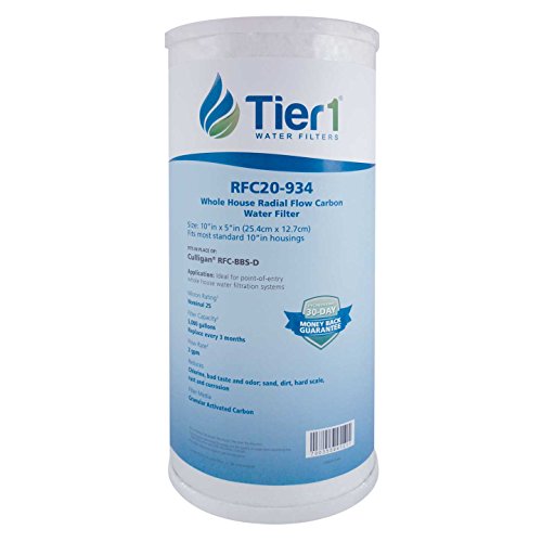 25 Micron 4.5" × 10" Radial Flow Carbon Water Filter