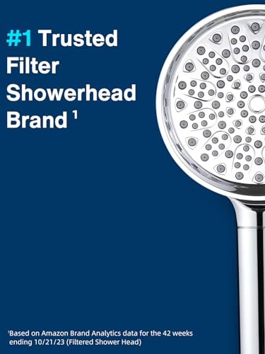 Filtered Shower Head with Handheld