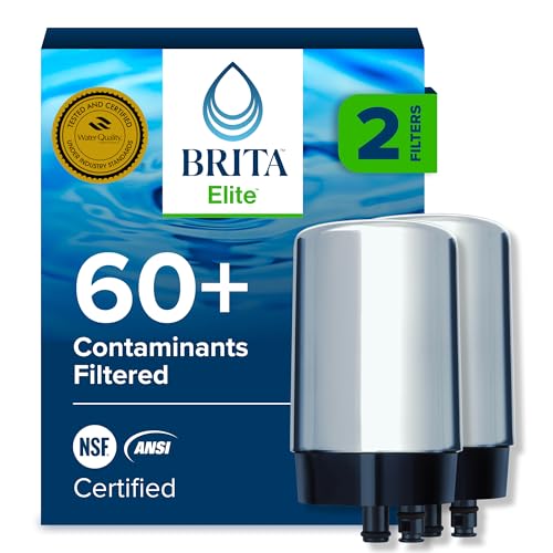 Replacement Water Filter for Faucet Mount (2 Count)