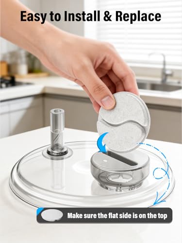 Glass Cat Water Fountain Filter Replacement Set