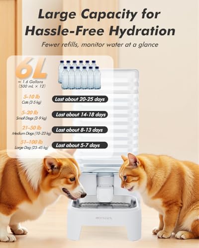 Automatic Dog Water Bowl Dispenser with Patented Faucet