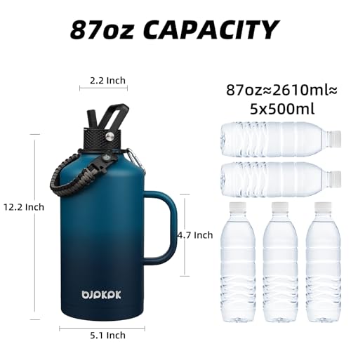 87oz Insulated Water Bottle with Straw Lid Stainless Steel Water Jug