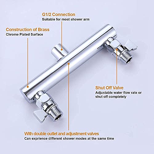 Double Shower Head with Shut