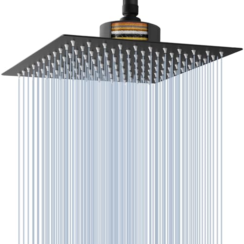 Rain Shower Head with Filtered