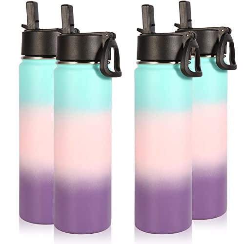 Insulated Water Bottles with Straw Bulk 4 Pack (4 Count)