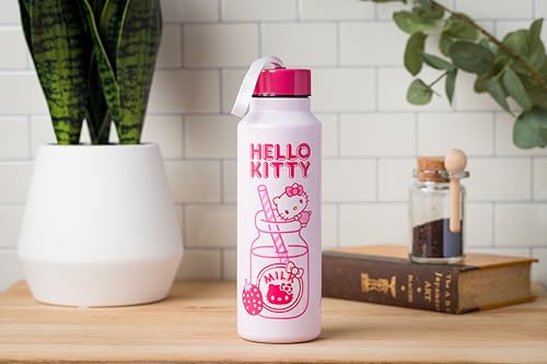Sanrio Hello Kitty