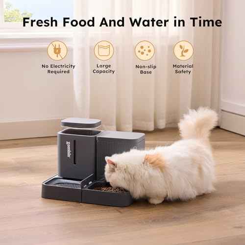 Gravity Cat Feeder and Water Dispenser