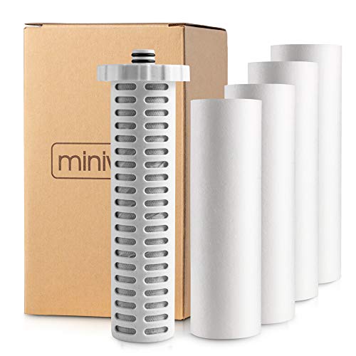 Shower Filter 720
