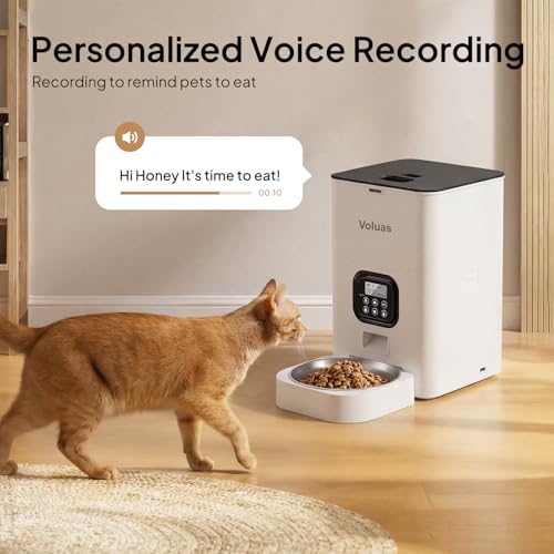 Automatic Cat Feeder