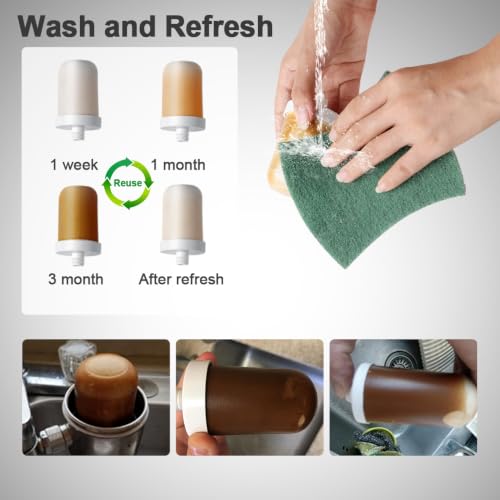Stainless Steel Water Filter for Sink Faucet