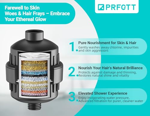 20 Stage Shower Head Filter