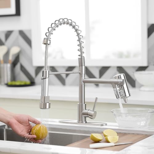 Kitchen Faucet with Water Filter and Pull Down Sprayer