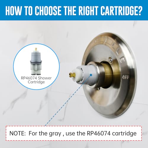 RP46074 Shower Cartridge