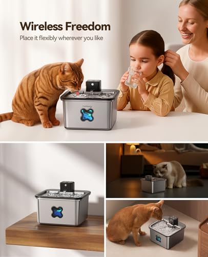 Cat Water Fountain Wireless + 6 Filters