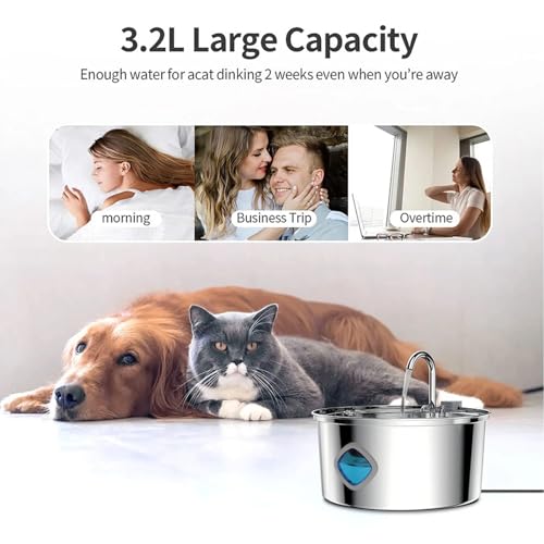 Cat Water Fountain Stainless Steel
