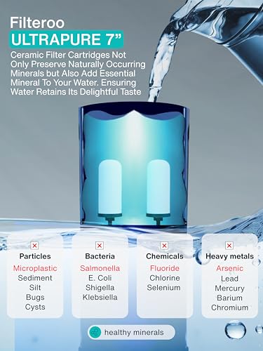 Countertop Gravity Water Filter System