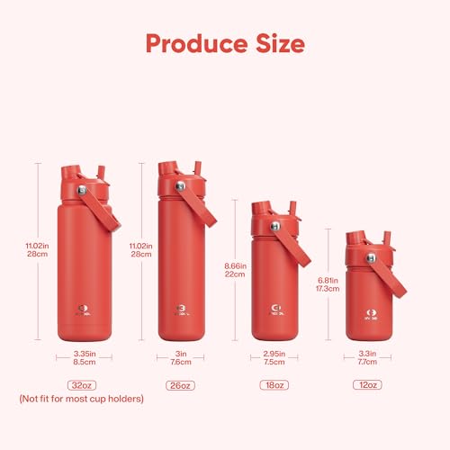 Insulated Water Bottle with Straw Stainless Steel Water Bottle