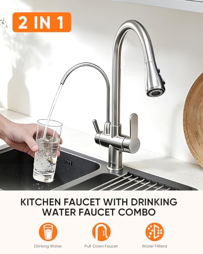 Kitchen Faucet with Water Filter Spout