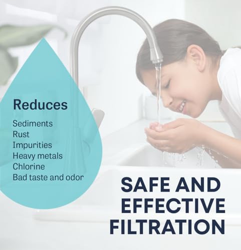 Under Sink Water Filter