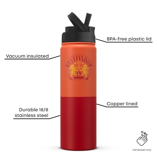 Harry Potter Gryffindor Stainless Steel Water Bottle with Flip Straw Lid