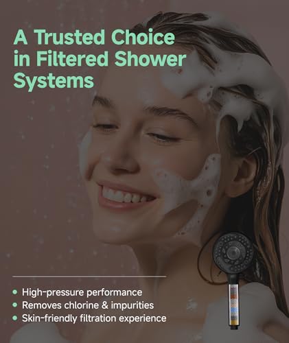 Filtered Shower Head with Handheld