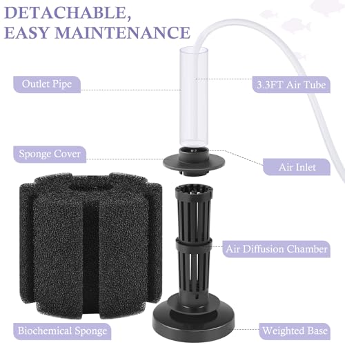 Aquarium Sponge Filter