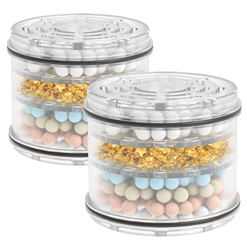 Shower Head Filter Replacement Cartridge for MakeFit Filtered Shower Head (2 Count)