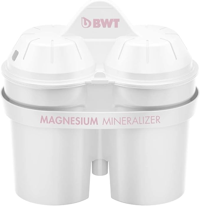 BWT Polymer Plastic Water Filter with Filter Set 6/12, Dark Purple, 12 (EU)