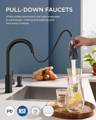 Black Kitchen Faucet with Soap Dispenser