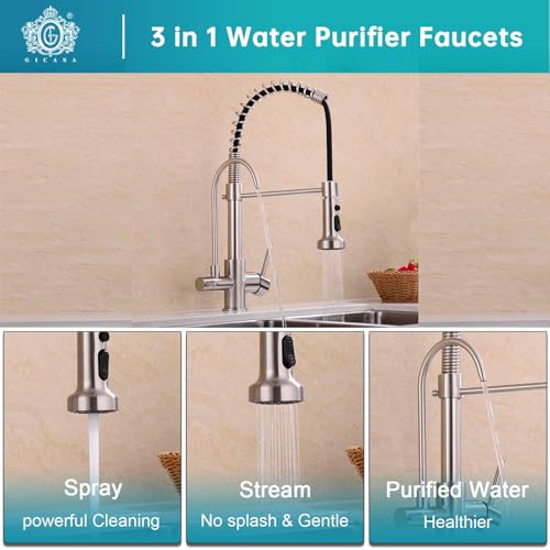 Commercial 3 in 1 Spring Brushed Nickel Kitchen Faucet