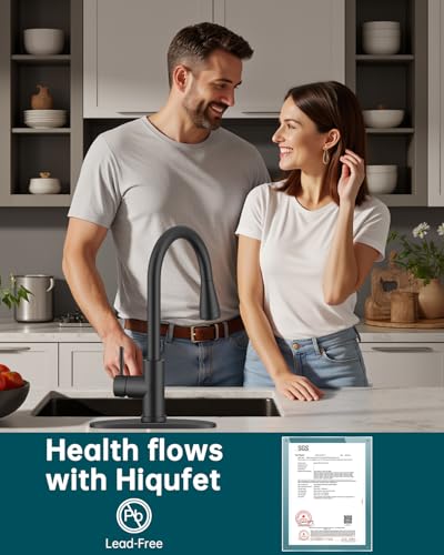 Kitchen Faucet