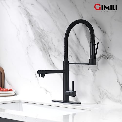 Dual Spout Black Kitchen Sink Faucet with Pull Down Sprayer