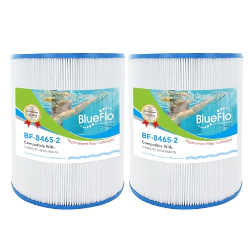 C 8465 Spa Filter Cartridge Replacement Compatible with Watkins 31114