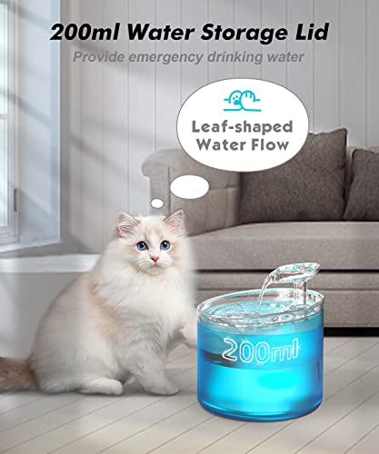 WF100 Cat Foutain (54 Fl Oz)