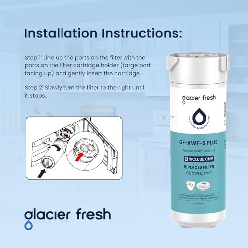 XWFE (Built-in CHIP) Refrigerator Water Filter Pack of 2 (2 Count)
