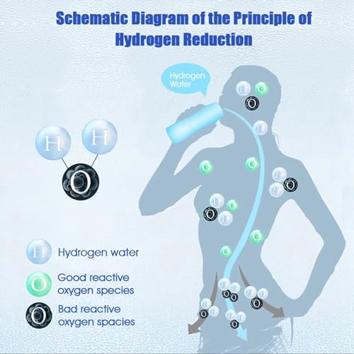 H2 Rich Hydrogen Water Bottle