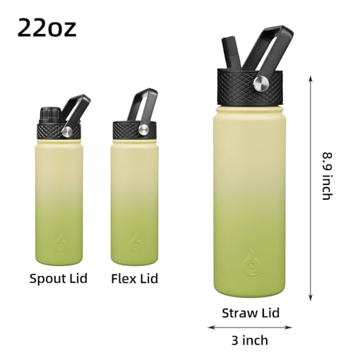 22oz Insulated Water Bottle with Straw Lid