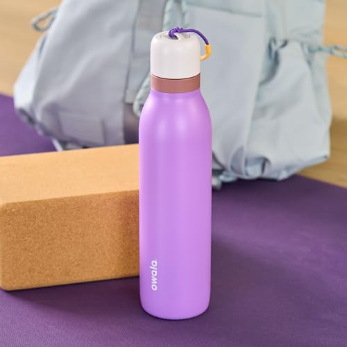 FreeSip Twist Stainless Steel Water Bottle 18 oz California Grapevine
