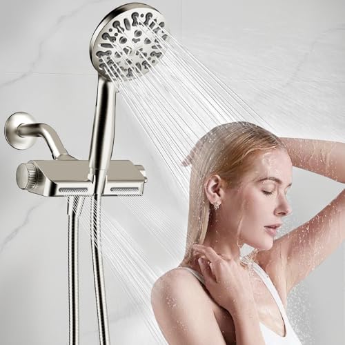 Filtered Shower Head with Handheld Combo