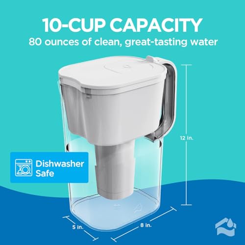 HOMEWATER 10 Cup Pitcher Filter