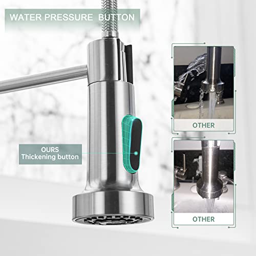 Pull Down Kitchen Faucet