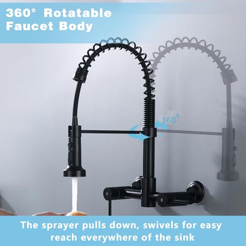 Wall Mount Kitchen Faucet Matte Black