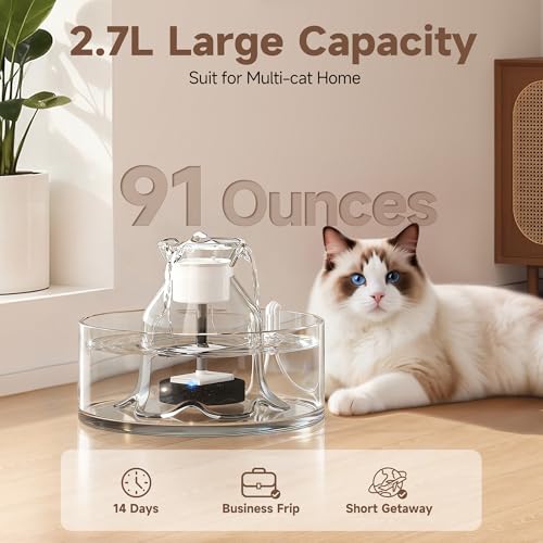 Glass Cat Water Fountain