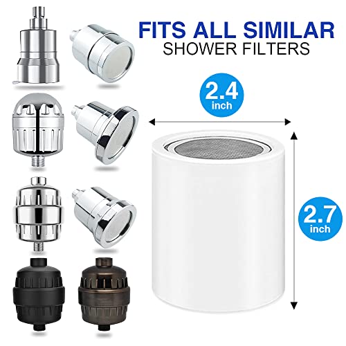 Chrome 15 Stage Shower Head Filter for Hard Water