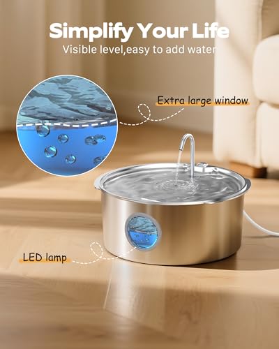 Dog Water Fountain for Large Dogs