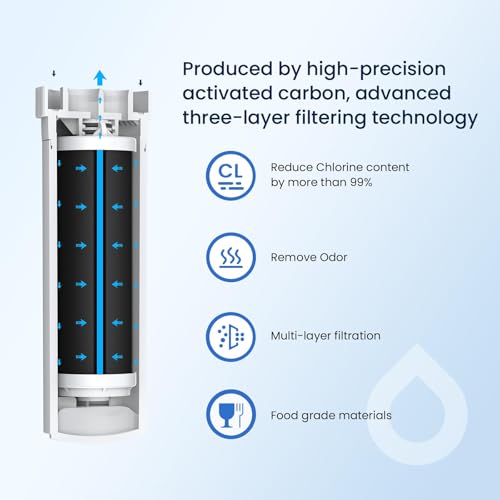 XWFE (Built-in CHIP) Refrigerator Water Filter Pack of 4 (4 Count)